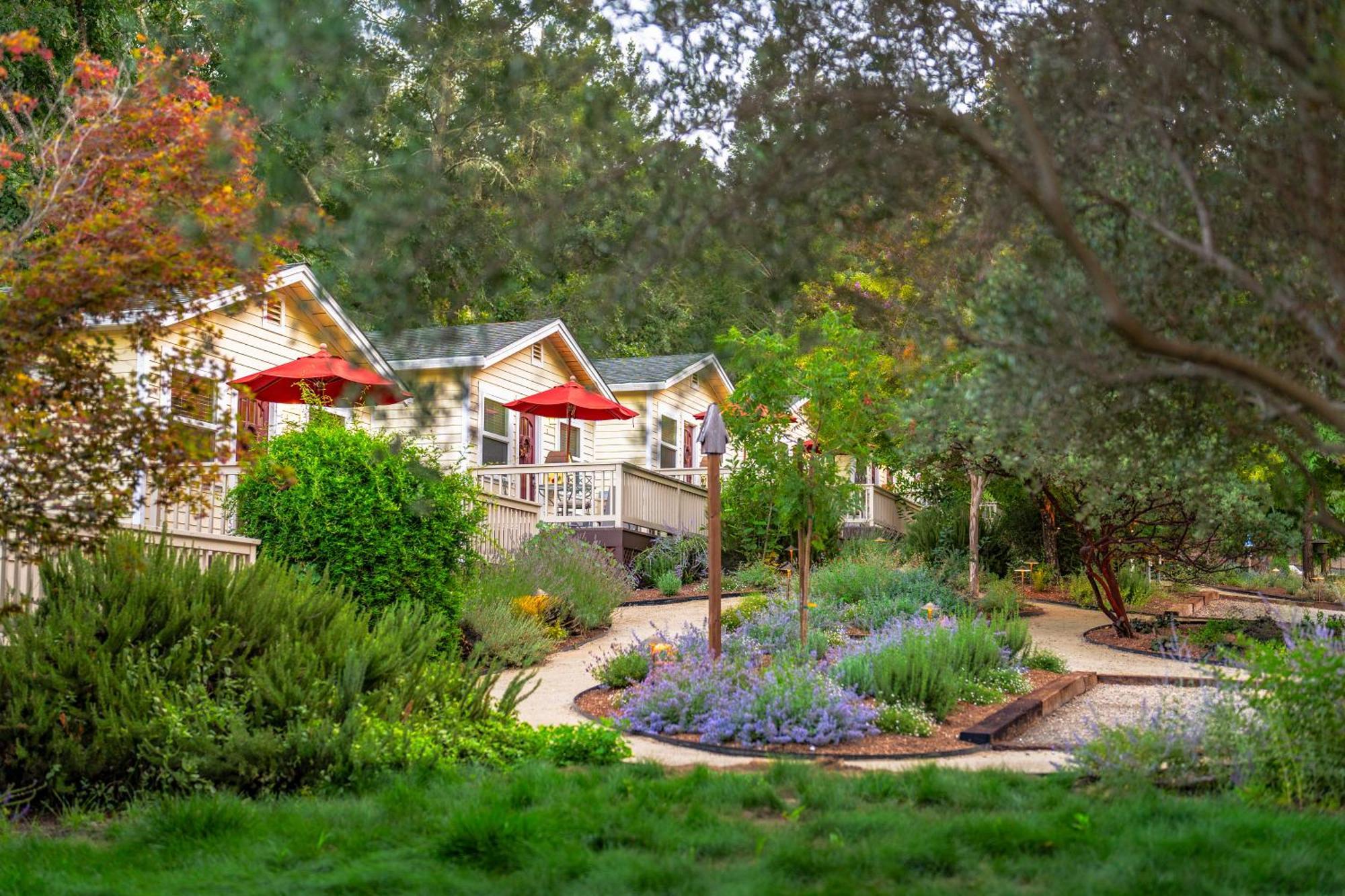 קליסטוגה Aurora Park Cottages מראה חיצוני תמונה