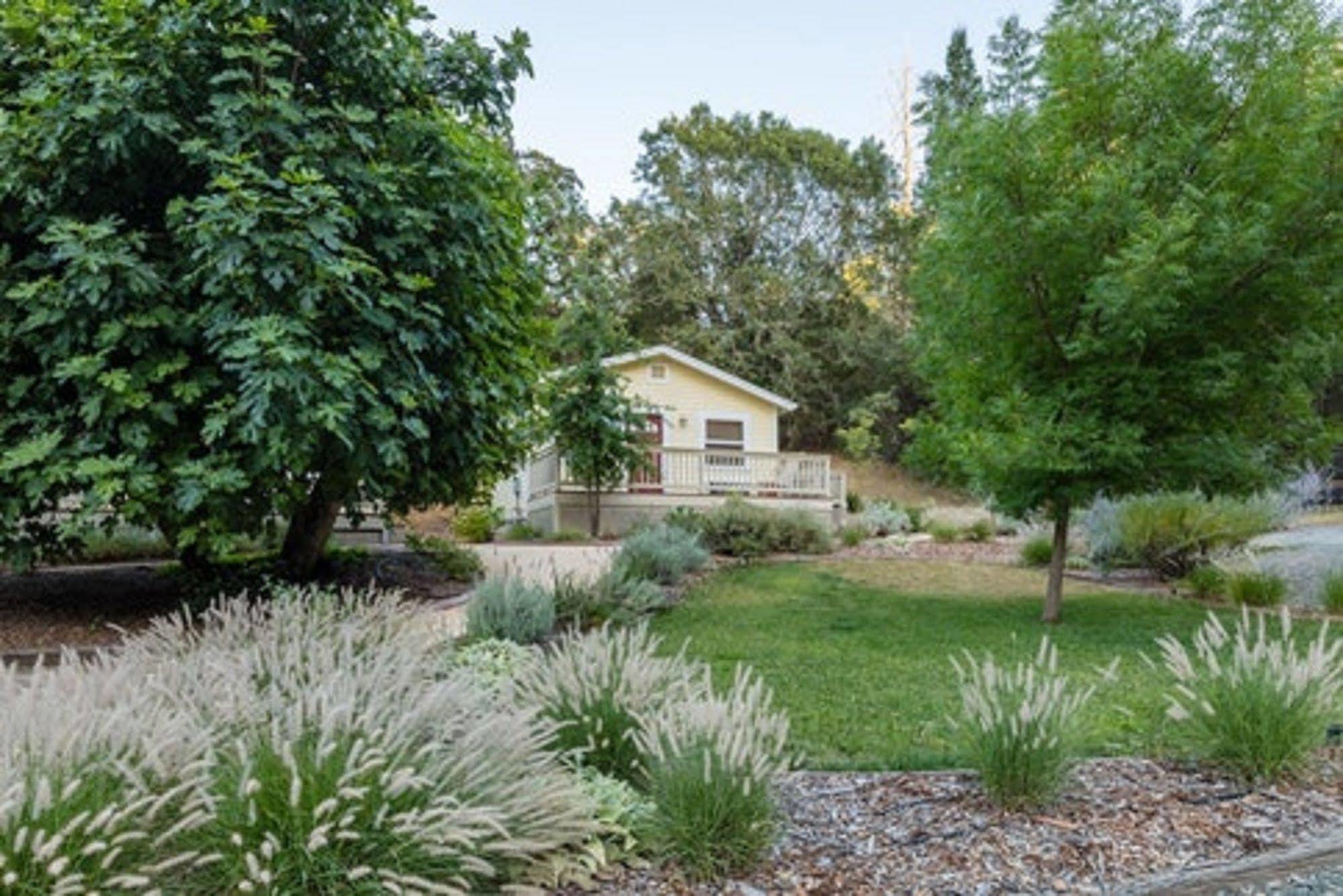 קליסטוגה Aurora Park Cottages מראה חיצוני תמונה